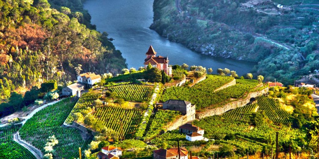 meia maratona douro vinhateiro